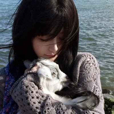 哈拉猛男秀2:欧洲种马